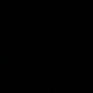 Meet your Posher, Maddie